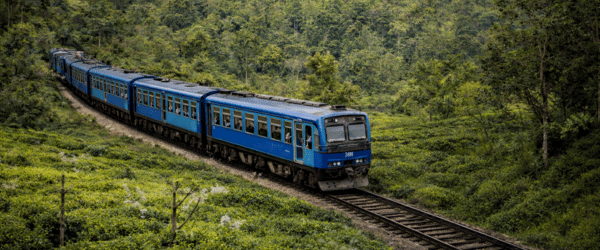 Classic Sri Lanka Tour